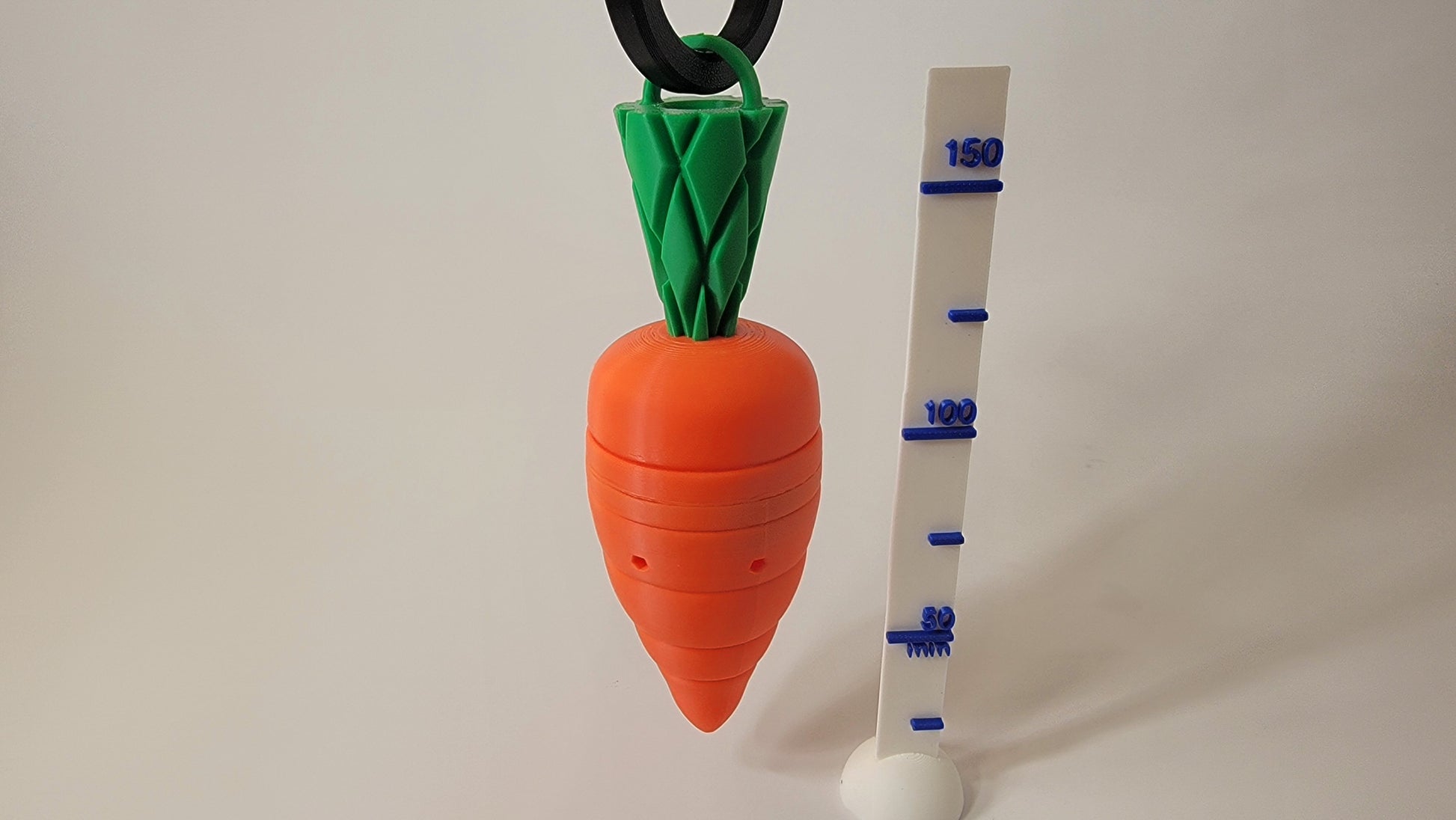 Carrot scent hide showing size for nose work training and competition