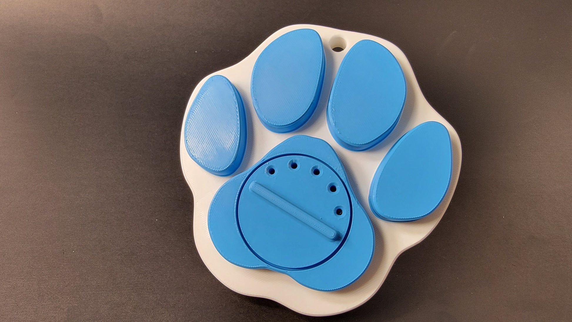 Cap of Paw print scent work hide.