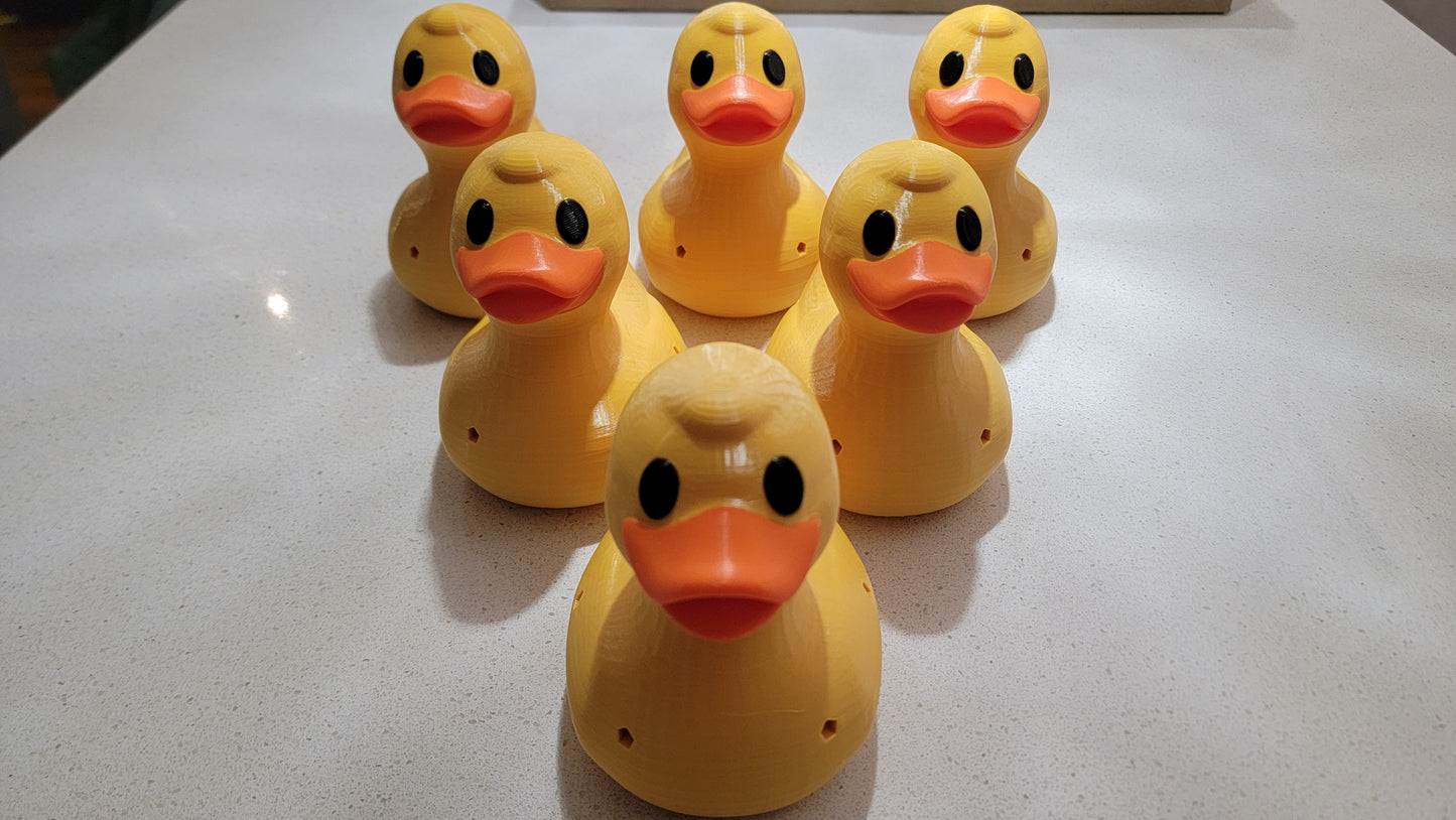 Duck scent hide in search position for K9 nose work training exercise